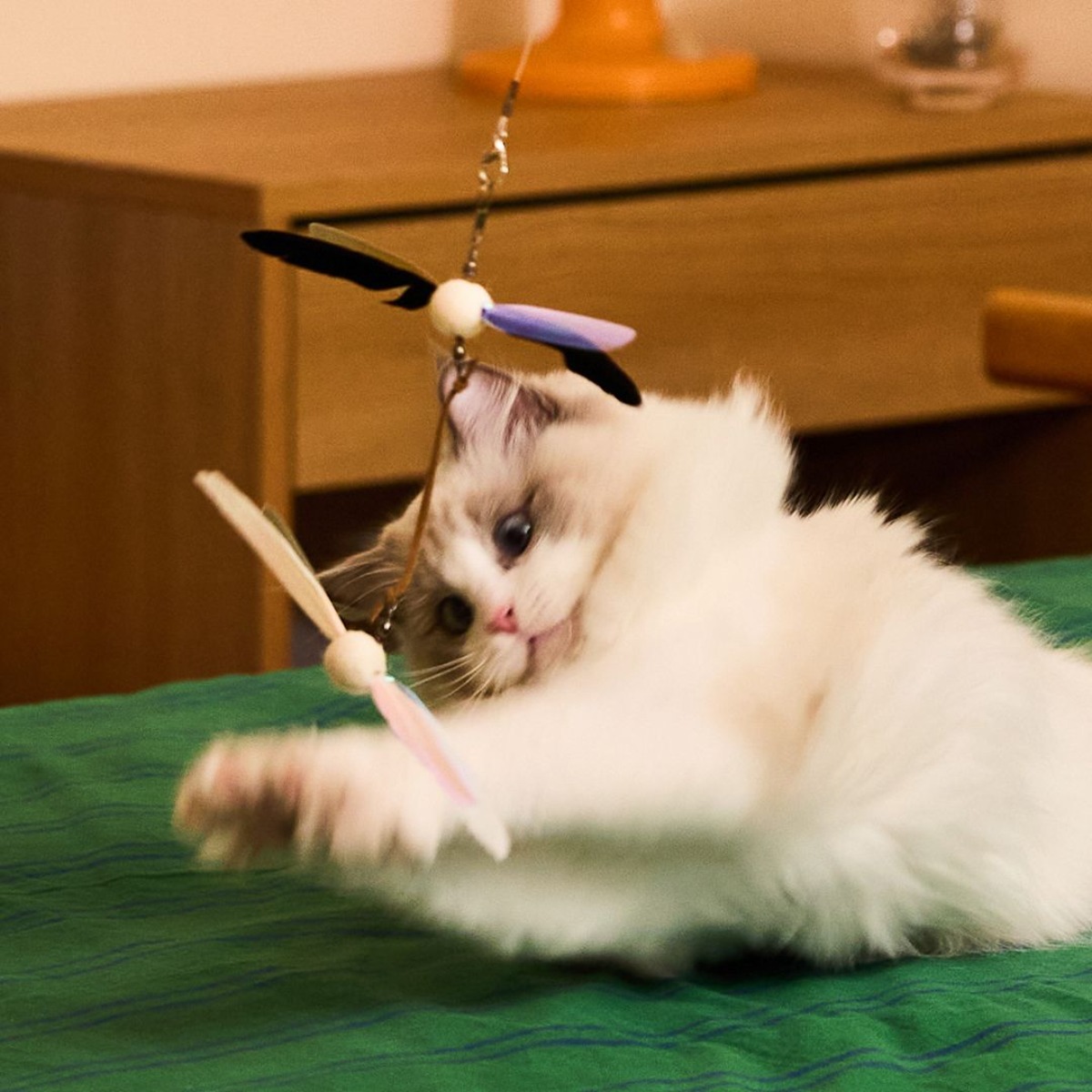 우다다맨숀 고양이 더블깃털 카샤카샤 2단 낚시대, 1개, 혼합색상 3,590원