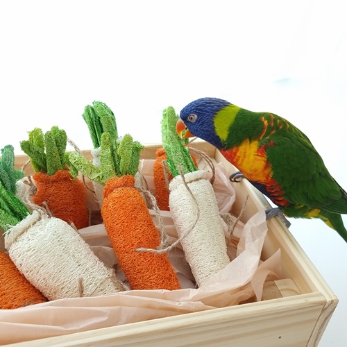 앵파크 앵무새 장난감 수세미 무+당근 2개 세트 새용품 뜯는 스트레스 해소 자연소재 8,900원