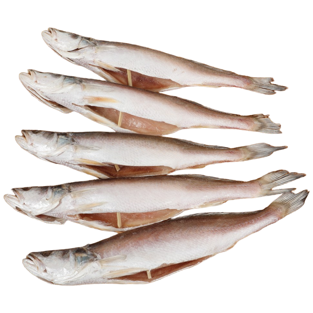 자갈치닷컴 반건조 민어조기 (뾰조기) 손질생선, 반건조민어조기 (뾰조기) 2P 35~37cm, 3개 46,000원