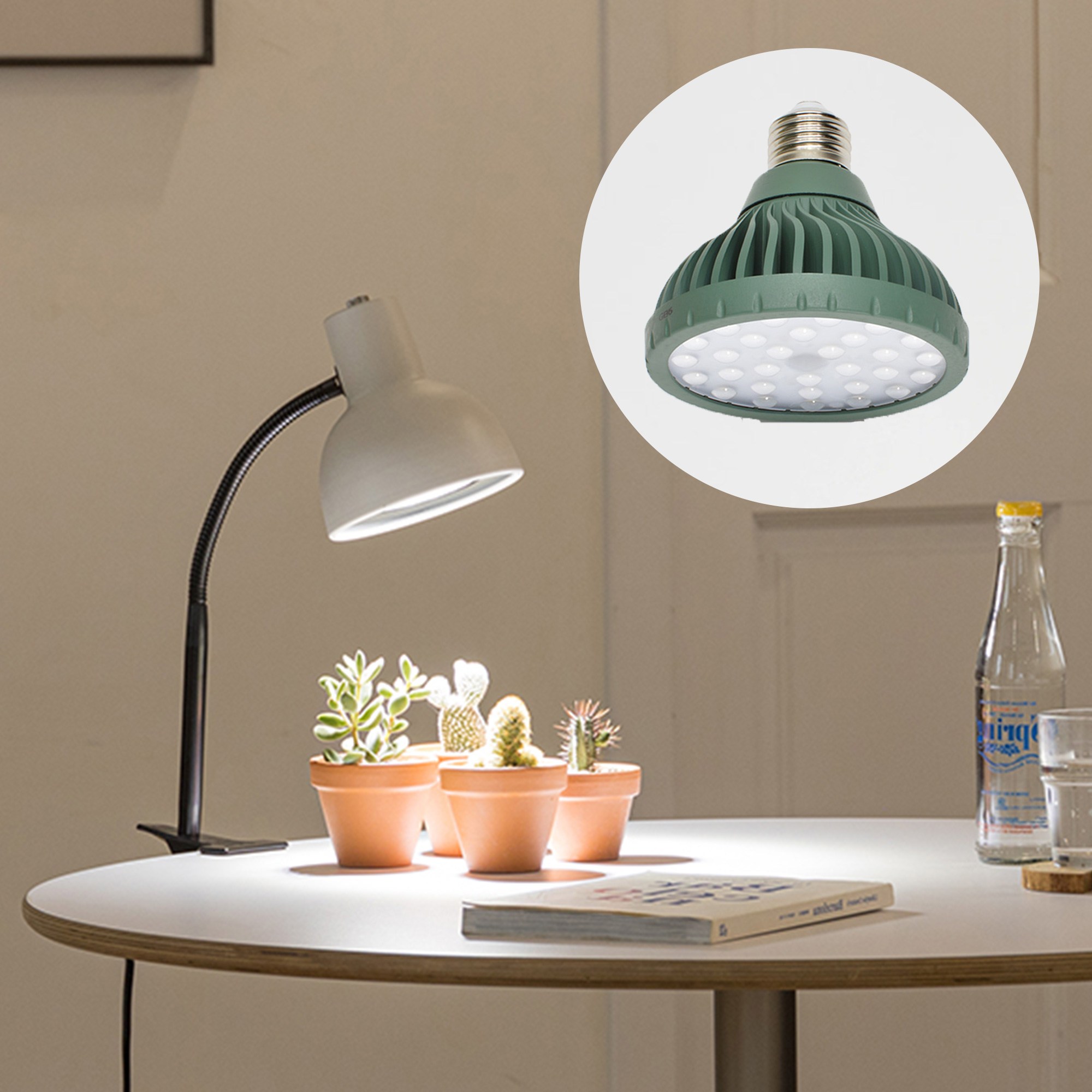 파미 식물등 생장 성장 램프 전구 조명 식물 LED _ 다육파장, 주백색, 1개 36,000원