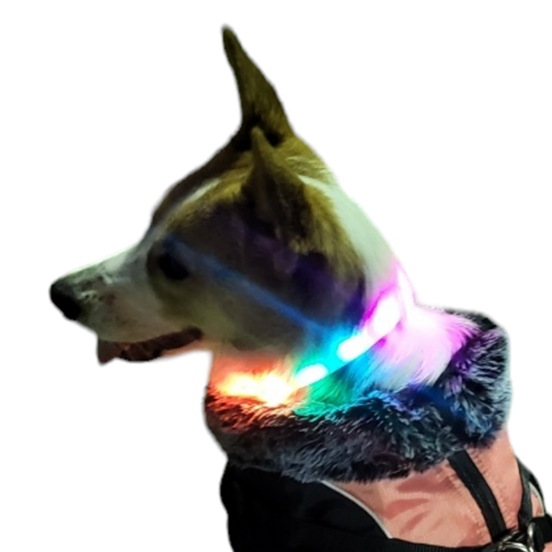 그램도그 강아지 야광 목걸이 led 블링커 불빛 라이트 충전식 야간산책 목줄 팬던트, 1개 24,850원