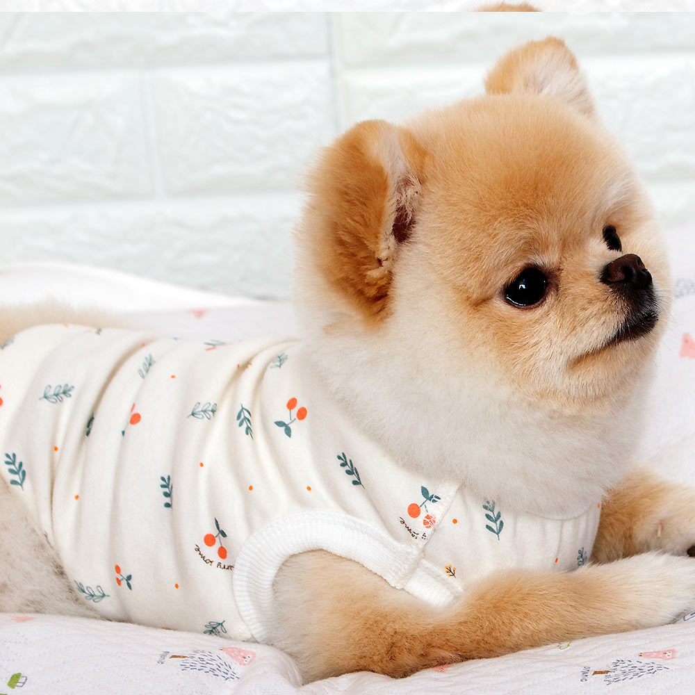 해피앤퍼피 강아지옷 오가닉 실내복 조끼 잠옷 내복 노령견옷 커플룩 애견옷 봄 여름 가을 겨울  XS-3XL 9,900원