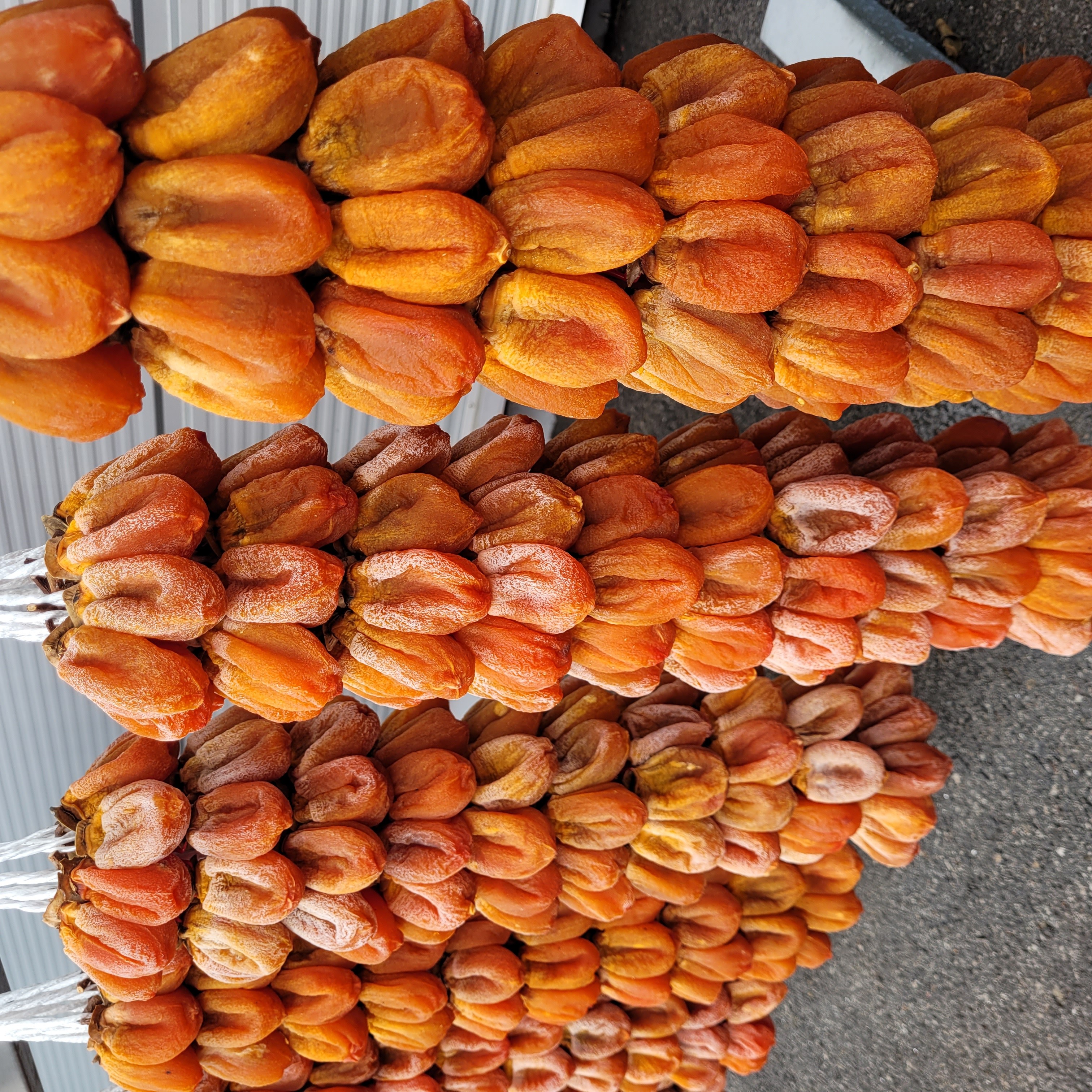 "햇곶감, 산지(함양)에서 무료배송" '말랑달콤' 지리산 프리미엄 함양 줄 곶감 1줄에 50개 또는 100개 박스에 선물용포장 하여 무료로 택배배송실속형 가정용 선물형 건강간식, 1세트, 한접 (100개) 줄곶감 4.5 kg 255,000원