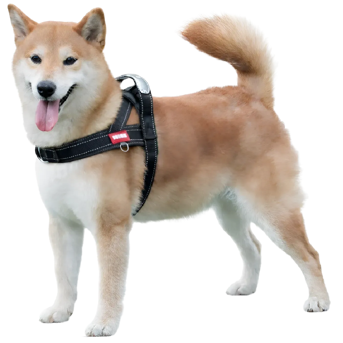 바밍펫 앞섬방지 강아지 하네스, 1개, 올블랙 18,760원