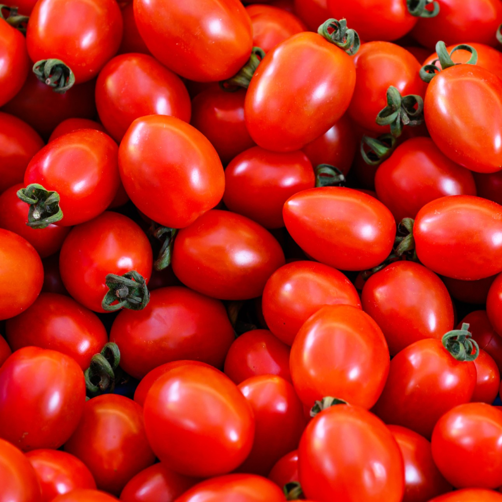 특품종 만족도1위 단단한 대추방울토마토 로얄과 14,950원