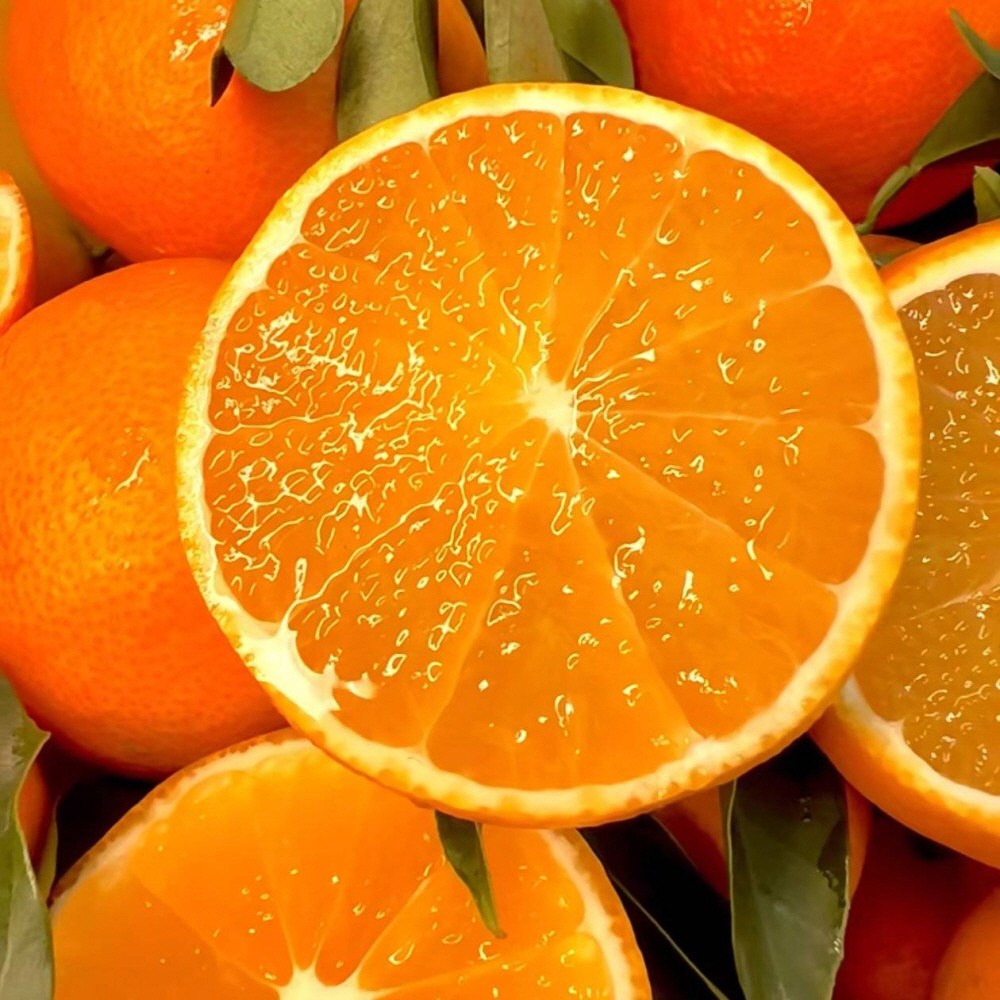 [농장직송] 16brix 초고당도 타이벡감귤 고당도귤 21,800원