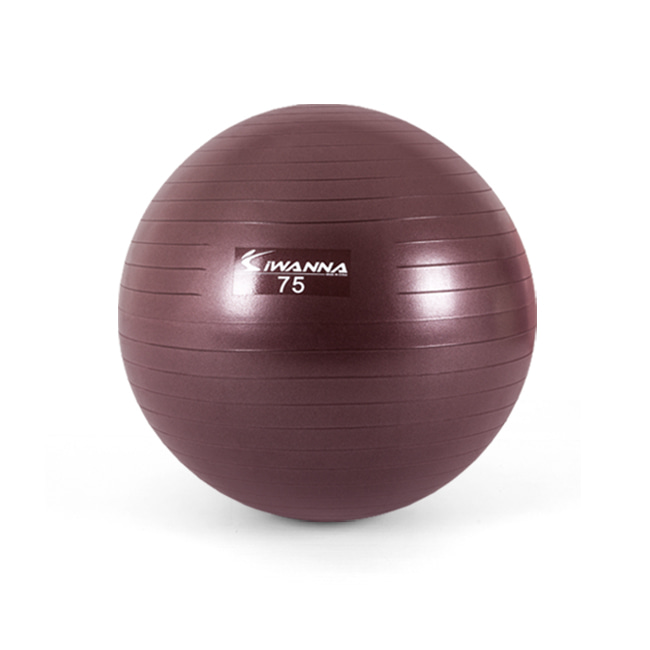 끼리 IW 안티버스트 파스텔 다이어트 짐볼 스쿼트 허리운동 필라테스 임산부 짐볼 터짐방지기능 내하중 250kg 15,600원