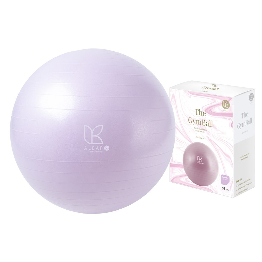 아리프 안티버스트 짐볼 + 에어펌프 + 공기마개 9,900원