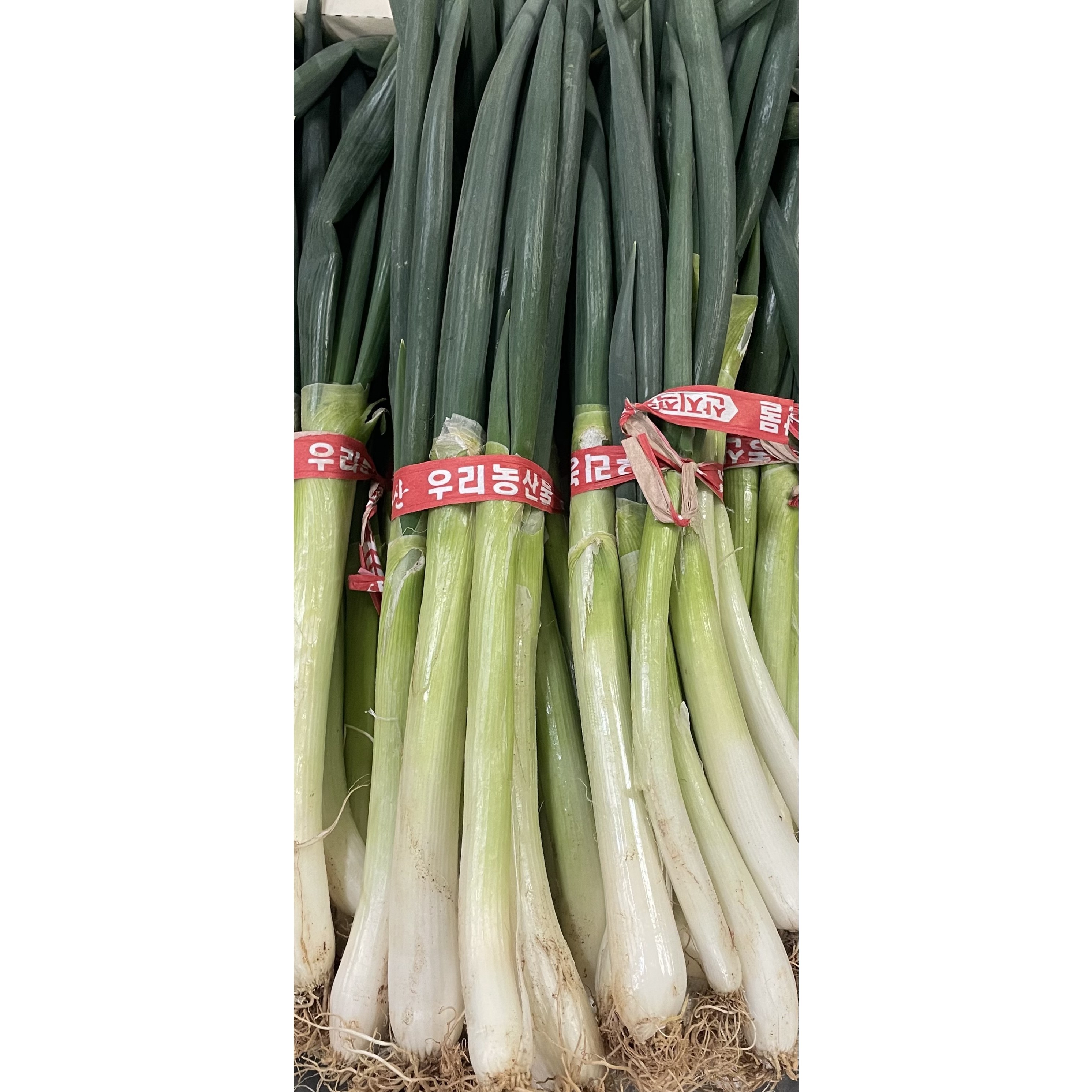 (당일경매) (당일발송) 국내산 대파 1단 (1kg 내외), 1개, 1kg 5,000원