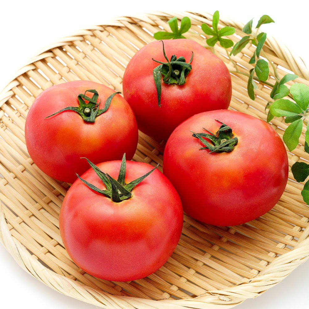 [한정특가] 농협 유럽종 완숙 찰토마토, 1개, 5kg 강력추천 24,900원