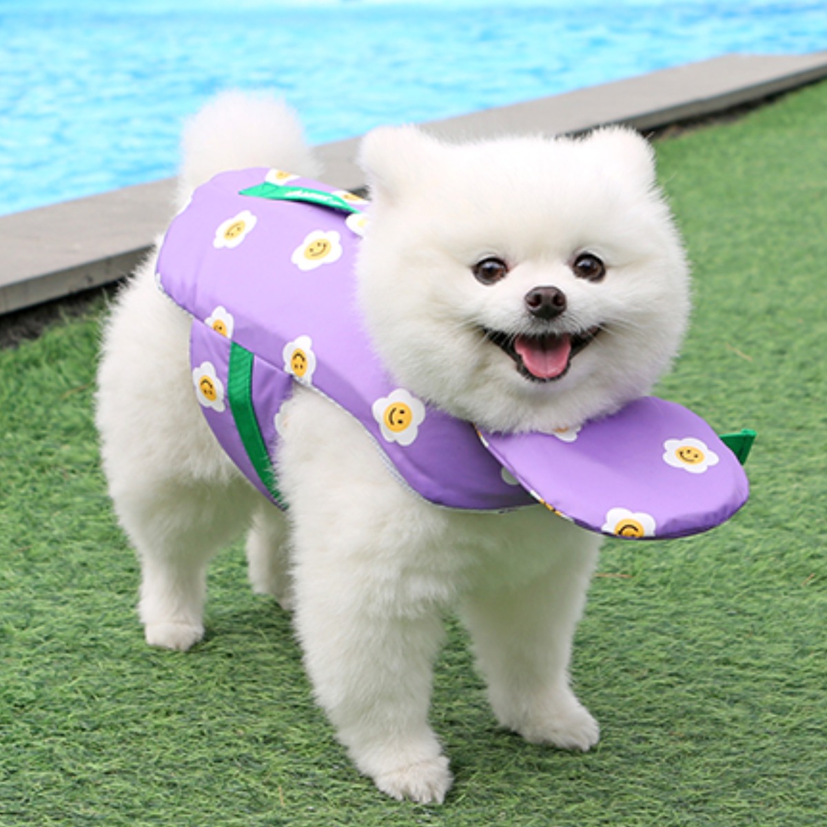 이츠독 반려동물 아이스 팝핑 구명조끼 34,000원