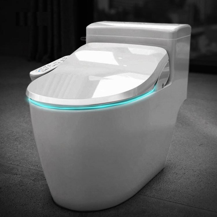 앤트 비데 최신형 IPX8 방수 직수 안심세척 하이브리드 필터필요없는 IPX-750A, 자가설치, 고객직접설치 154,000원