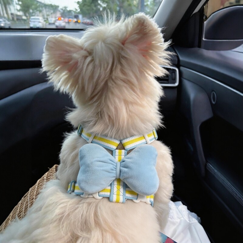 Coablu 강아지 리본 하네스 베스트 타입 앞섬방지 리드줄 세트 소형견 가슴줄, 1개, 블루 18,100원