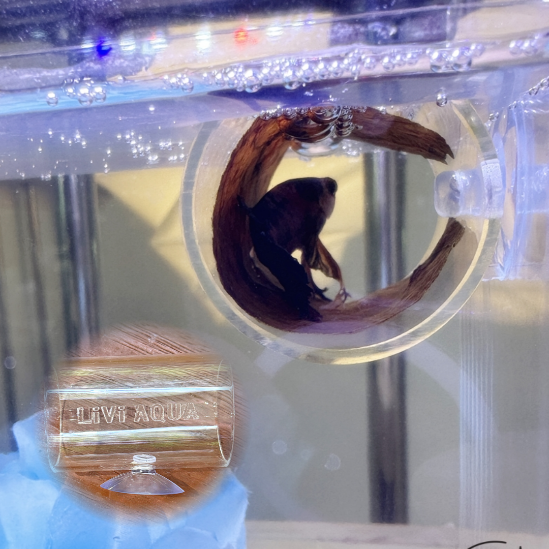 리비아쿠아 로고각인 베타침대 베타은신처 터널 9,790원