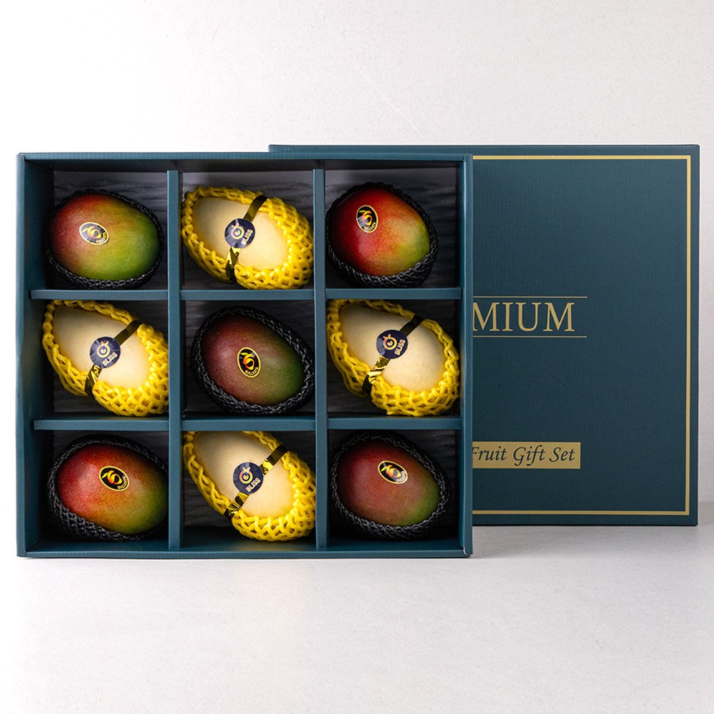 항공 수입 애플망고 골드망고 대과 프리미엄 선물세트, 1박스, 태국망고 9과 특대과 68,900원