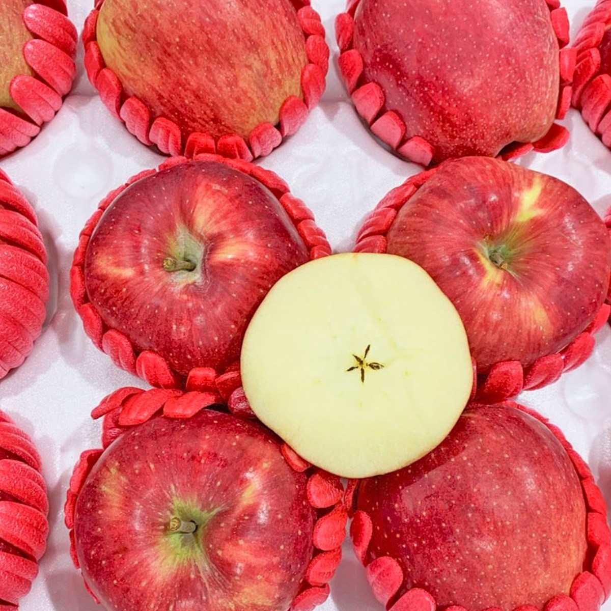 [당도보장]허니삼구 프리미엄 고당도 사과선물세트 5KG 79,900원