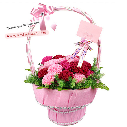 어버이은혜(핑크)주름지 카네이션 꽃 바구니(어버이날 스승의날 선물로 인기) 64,200원