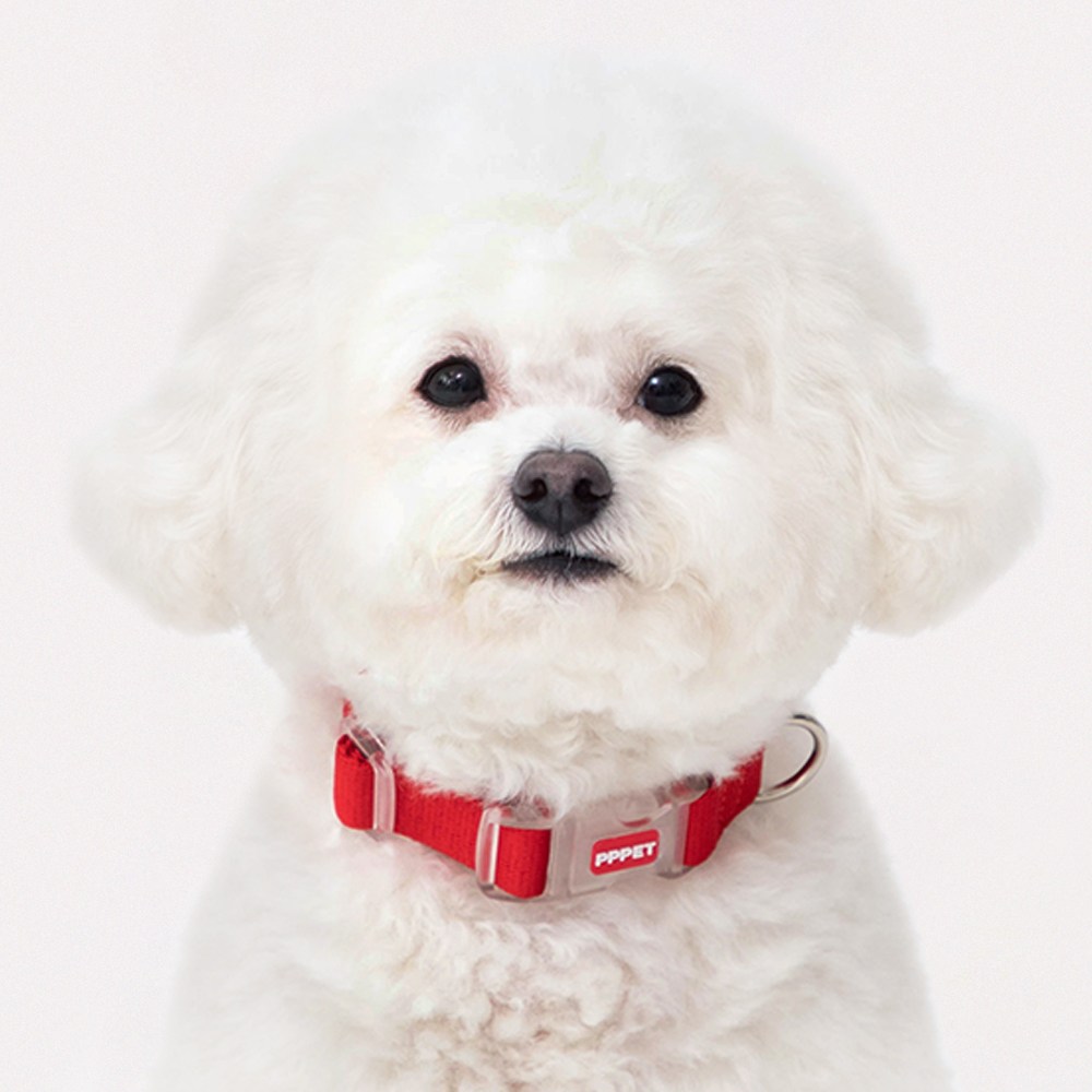 펫펫펫 강아지 목줄 13,360원