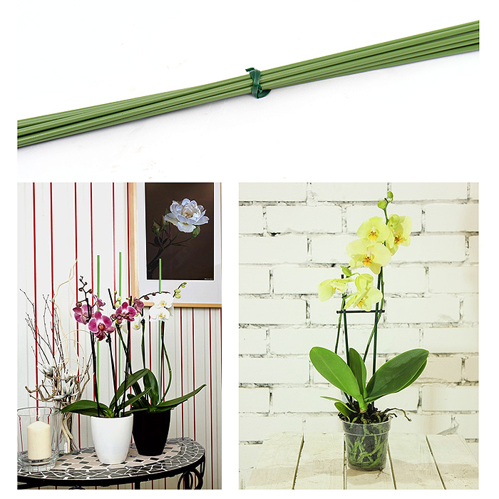 마이플랜트 식물 지지대 지주대3mm_50cm 4,900원