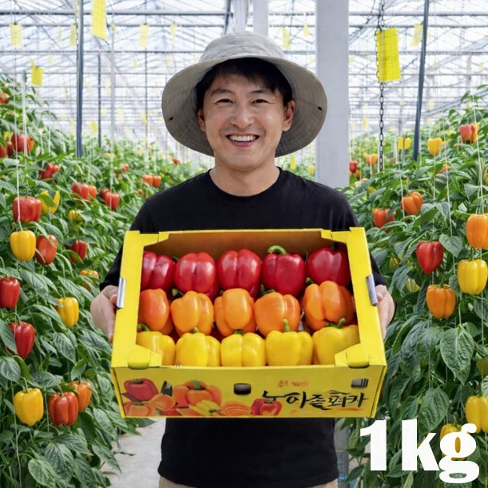 [산지직송] 신선하고 아삭한 맛! 고당도 프리미엄 파프리카, 1박스, 파프리카(색상랜덤) 1kg 16,500원