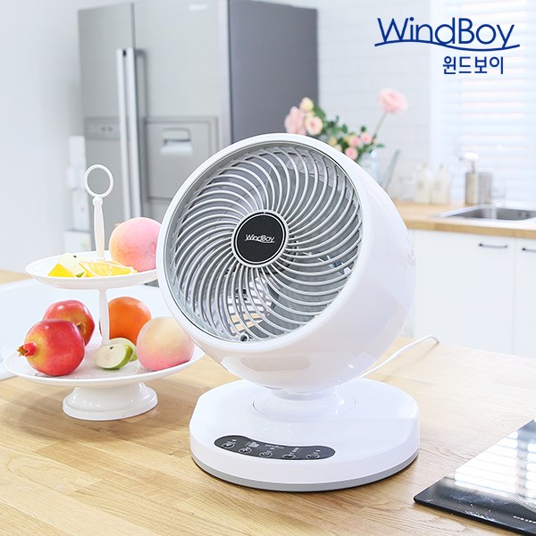 스팀보이탁상용선풍기 미니 써큘레이터 소형 충전식 캠핑 책상 사무실 유선 69,800원