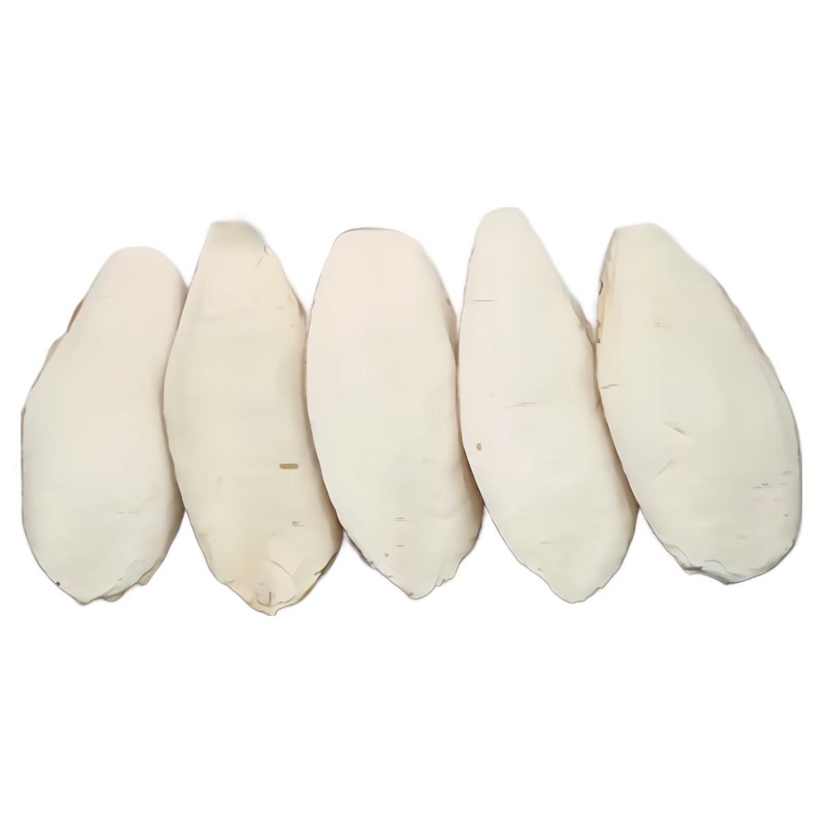 갑오징어뼈, 애완달팽이 용품, 달팽이 칼슘보충, 소라게 천연 칼슘제, 1개 6,000원