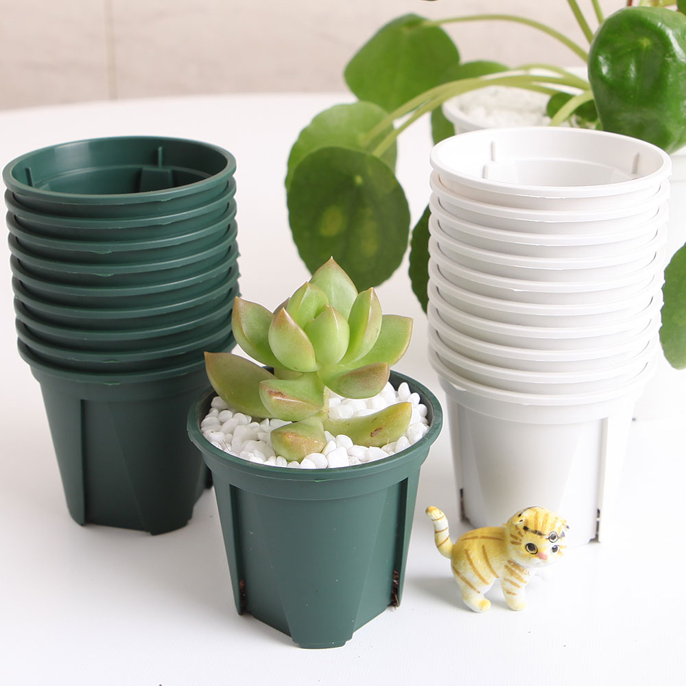 세경팜 일본 슬릿화분 원형 10개입 카네야 정품 삽목 11,000원