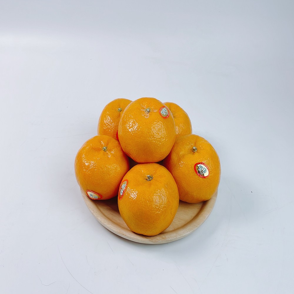 500박스 특가 일등농수산 제주도 노지 감귤, 1개, 실중량 4.5kg 혼합과 51,100원