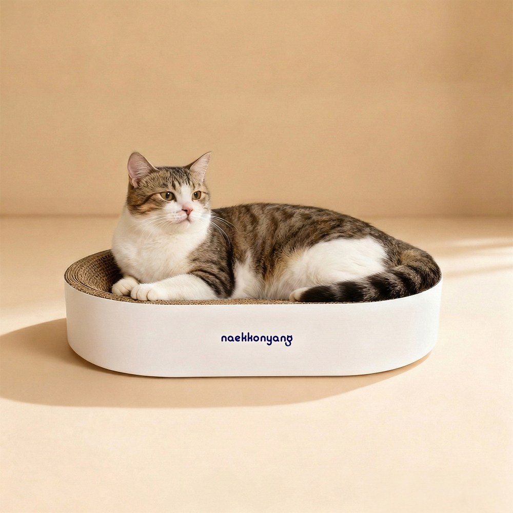 내꼬냥 고양이 타원형 오목한 보울형 양면 스크래쳐, 1개, 화이트 12,900원