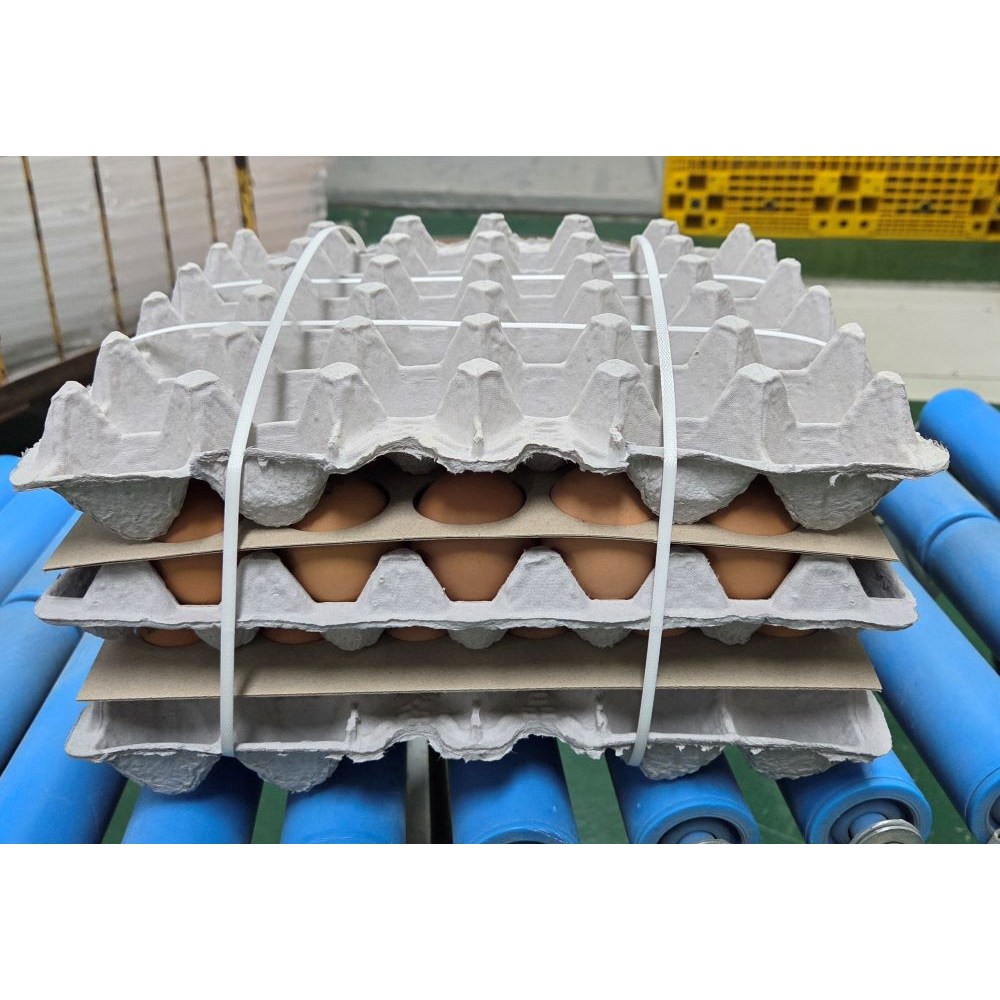 [알부자집] 무항생제계란 왕란 23,500원