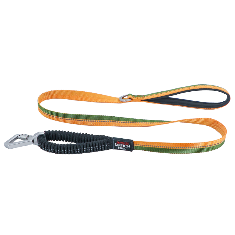 주랜드 강아지 충격방지스프링 리드줄, 그린 + 다크오렌지, 1개 22,290원