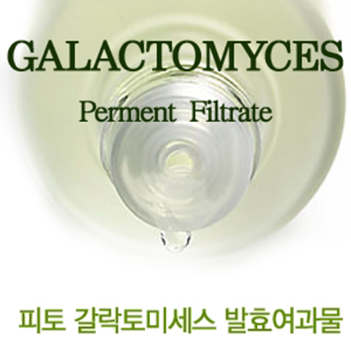 허브플로라 기능성 첨가제, 피토 갈락토미세스 발효여과물(피테라) 500ml, 1개 47,000원