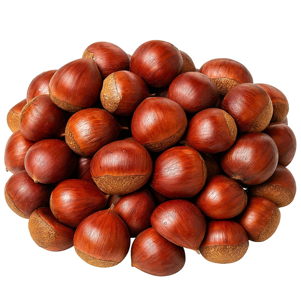 이모뜰 국내산 햇 알밤 밤 왕밤 15,210원