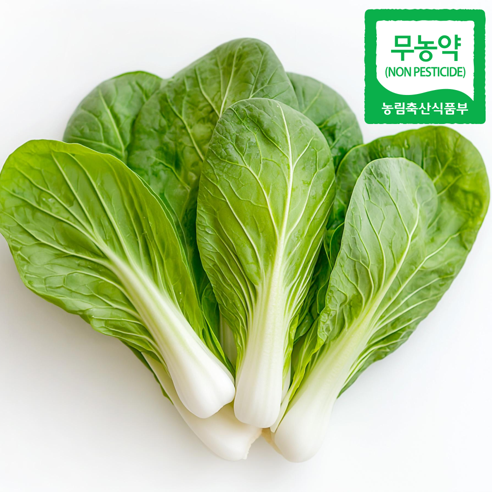 무농약 청경채 국내산 샤브샤브 쌈채소 샐러드채소 친환경 산지직송 당일수확, 1박스, 4kg 34,900원