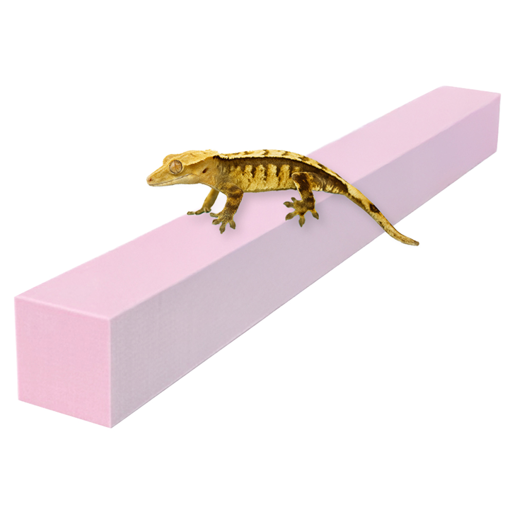 레몽크리프 도마뱀 파충류 크레스티드게코 EVA 고밀도백업 3 x 3 x 50 cm, 베이비핑크, 1개 5,000원