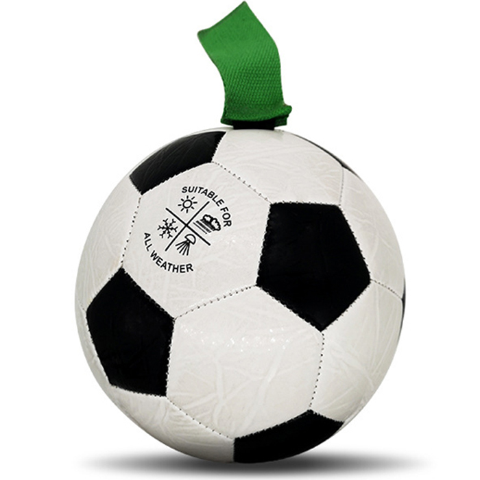 레드퍼피 강아지 터그 챔피언 축구공 + 펌프 세트, 1개, 화이트(축구공) 18,030원