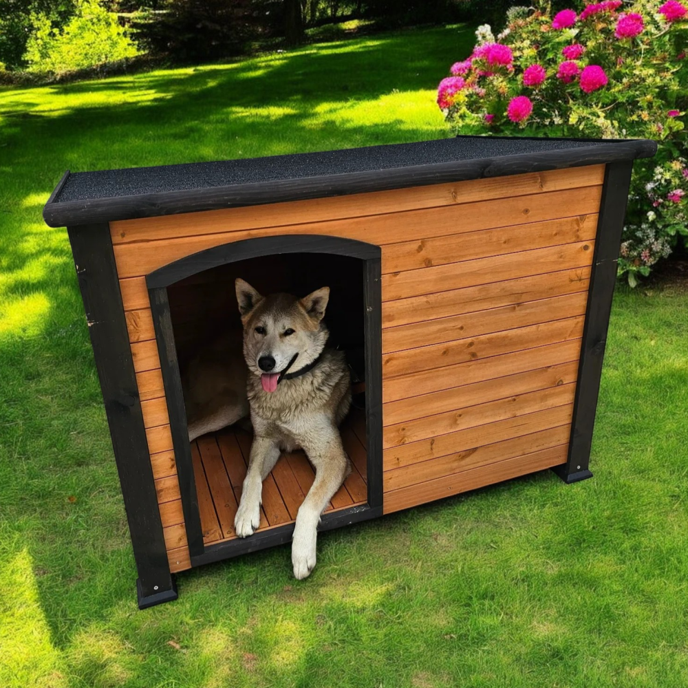 원목 야외 대형견집 (디자인1), 원목, 1개 238,800원