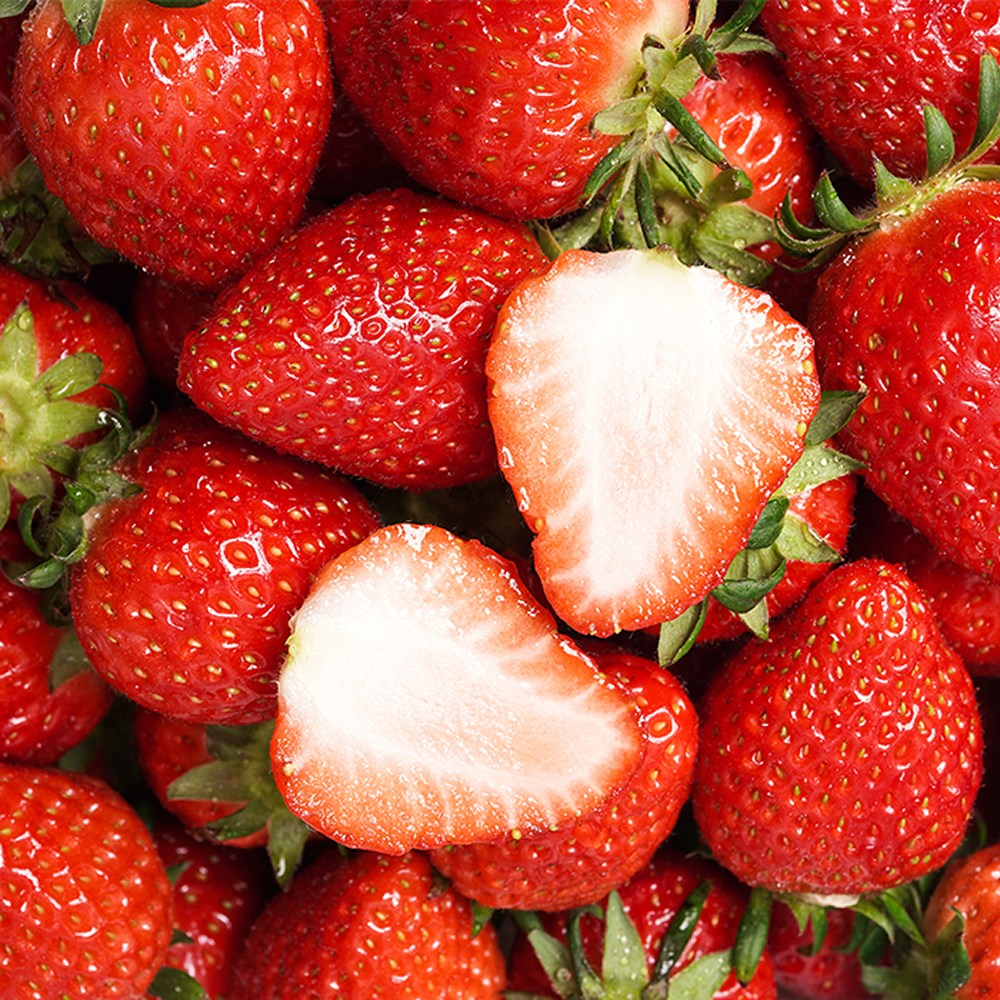 초특가 산지직송 논산 고당도 설향딸기 11,250원