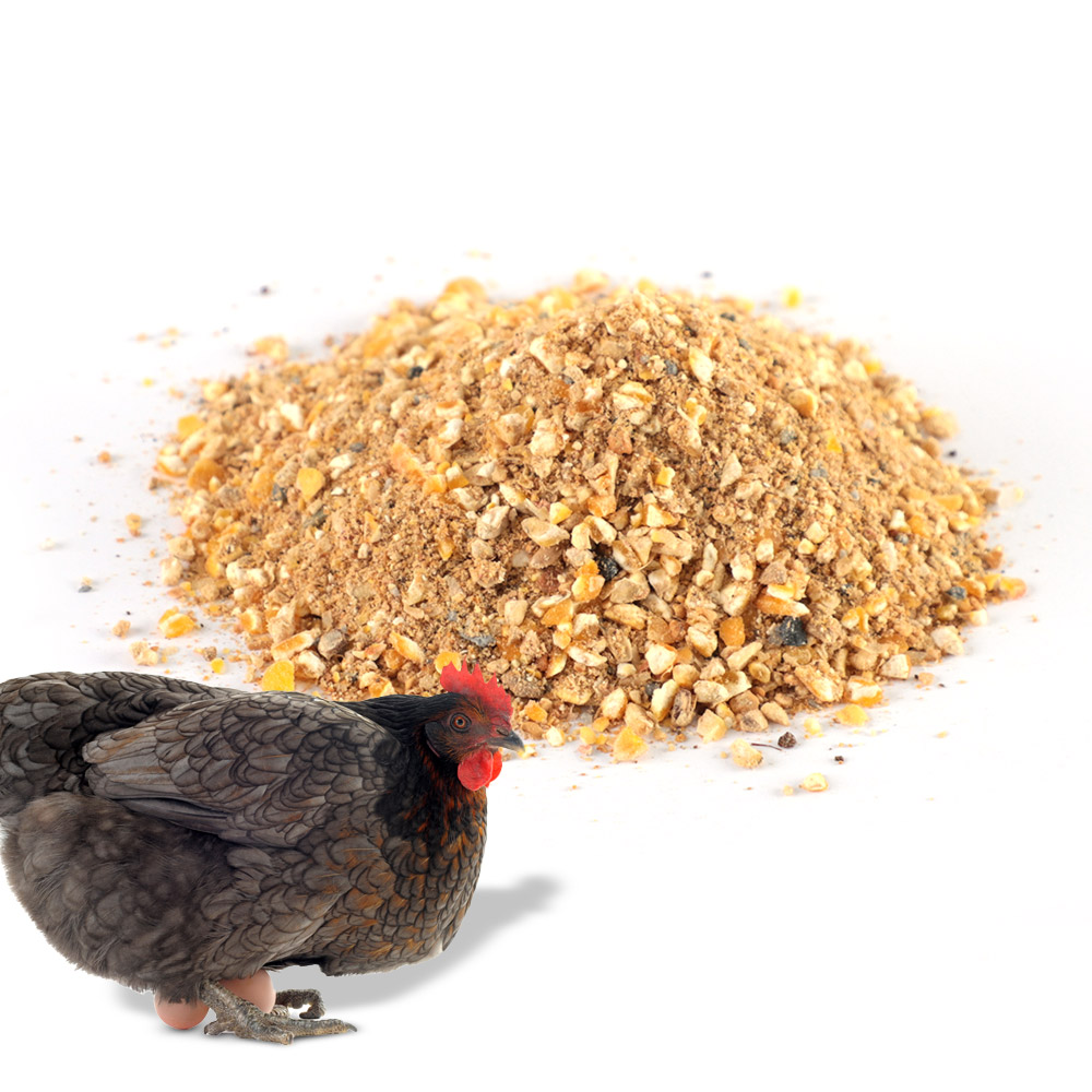 닭사료10kg  토종닭 오골계 청계사료 닭모이 산란사료 18,900원