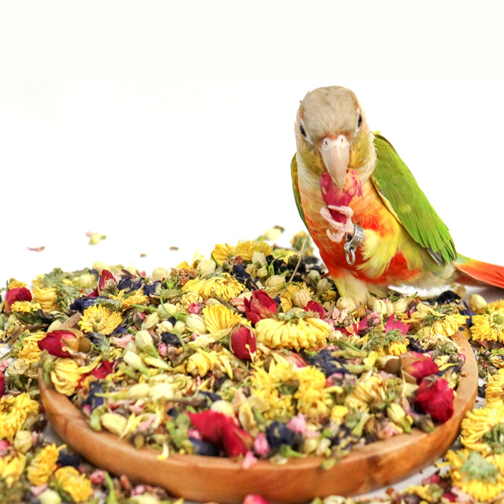 애니몰파크 앵무새 포레깅 플라워 100g 꽃베딩 입질 뜯기 노즈워크 훈련 놀이 용품 9,430원
