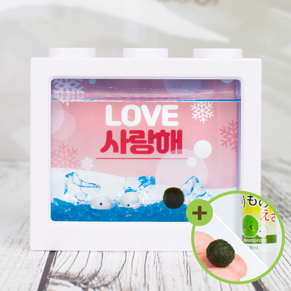 고래 마리모 키우기 세트 블럭어항 LED등 마리모밥 12,900원