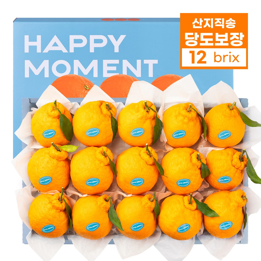 26년 설 프리미엄 과일 선물세트 레드향 한라봉 윈터프린스 천혜향, 1박스, 4kg 58,900원