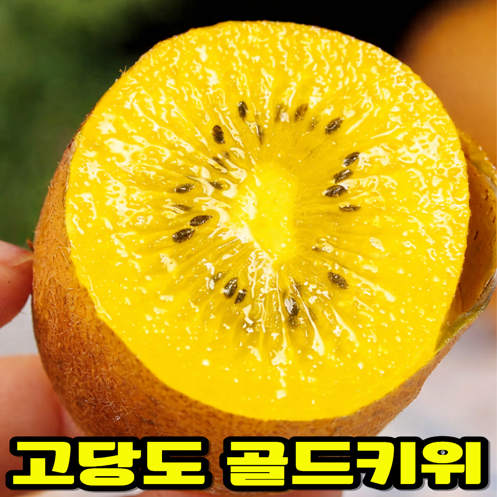 [전국최저가] 재업로드요청 달콤폭발 고당도 골드키위 9,900원