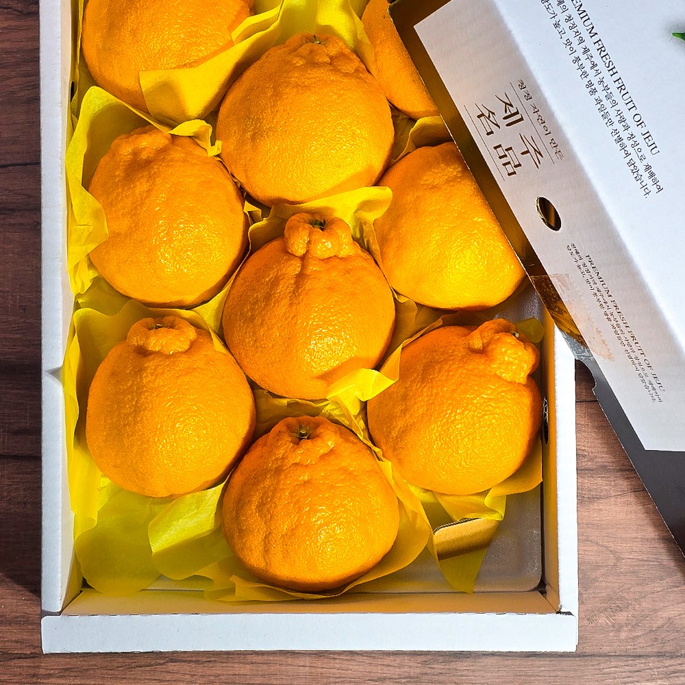 한라봉 천혜향 레드향 고당도 프리미엄 명절 과일 선물세트 [우월한농수산], 1박스, 한라봉 선물세트 3kg 44,000원