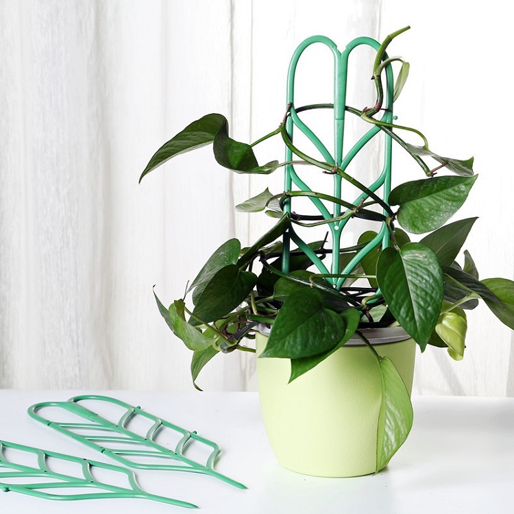 화분월드 다용도 넝쿨 식물 지주대 3p 4,730원