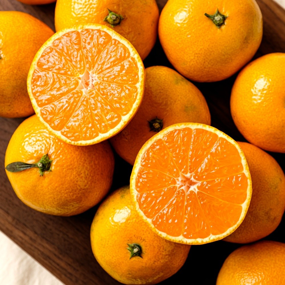 더준마켓 서귀포 명품 고당도 새콤달콤 노지 조생귤 타이벡 황금향 22,600원