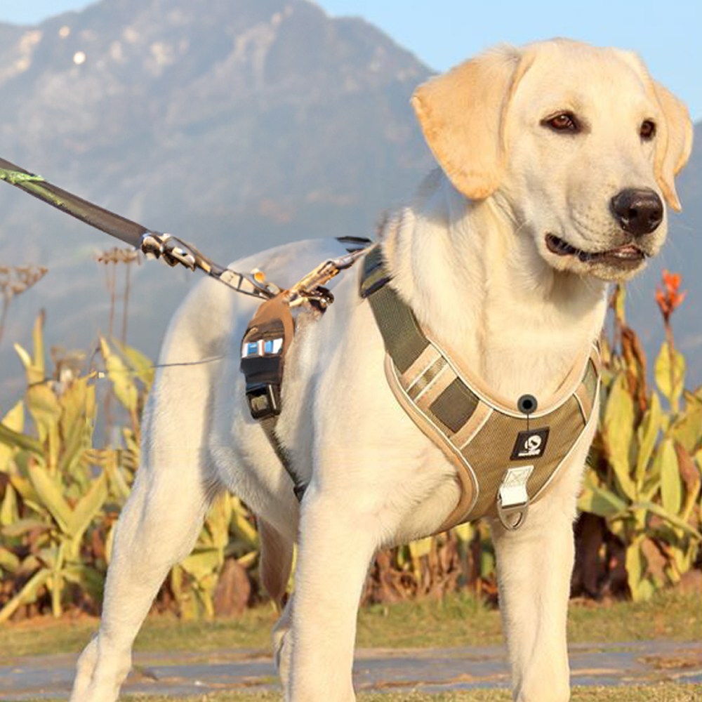 심쿵하니 강아지 가슴줄 하네스, 베이지, 1개 15,900원