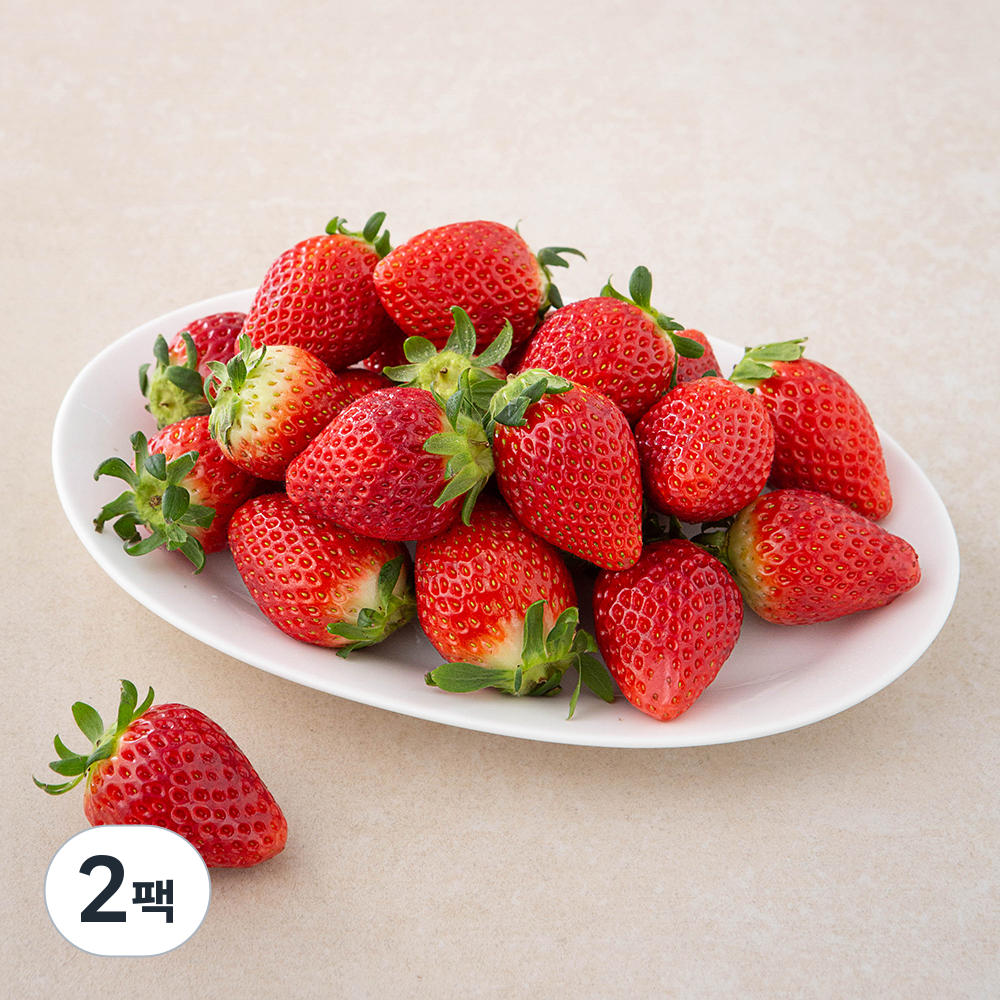 곰곰 타이벡 설향 딸기 21,530원