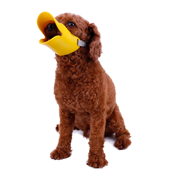 다매다매 강아지 오리 입마개 S 2,000원