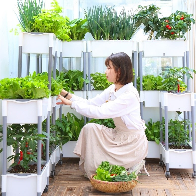 MS4U 방울토마토 키우기 베란다텃밭 33,990원